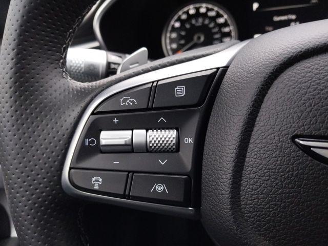 Photo of 2024 Tasman Blue Genesis G70