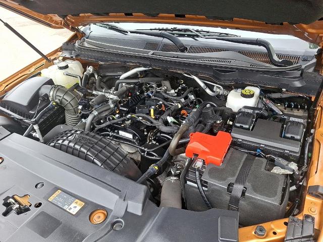 Photo of 2019 Saber Ford Ranger