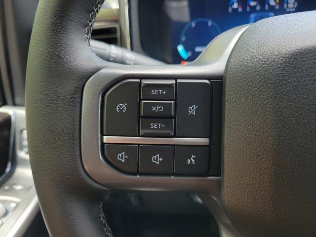 Photo of 2025 Blue Ford F-250