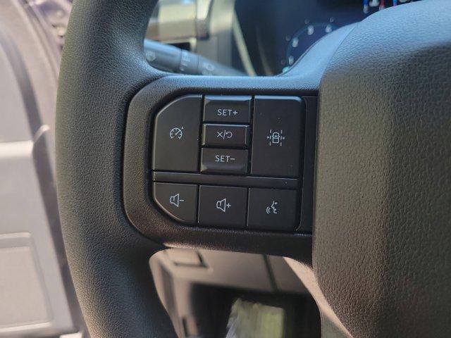 Photo of 2025 Gray Ford F-150