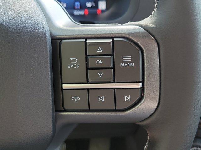 Photo of 2025 Red Metallic Ford F-150
