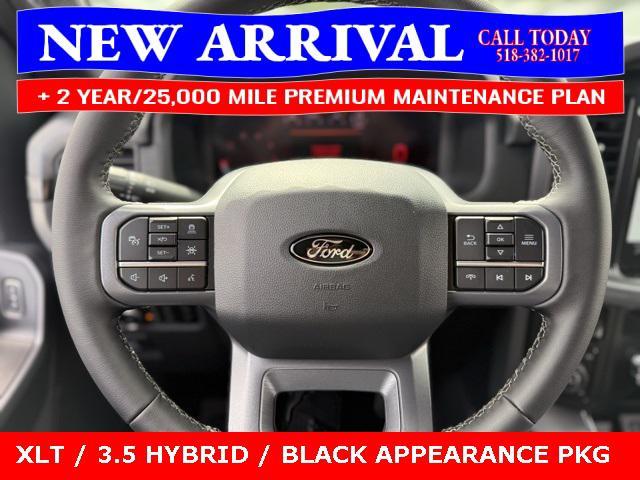 Photo of 2025 Blue Ford F-150