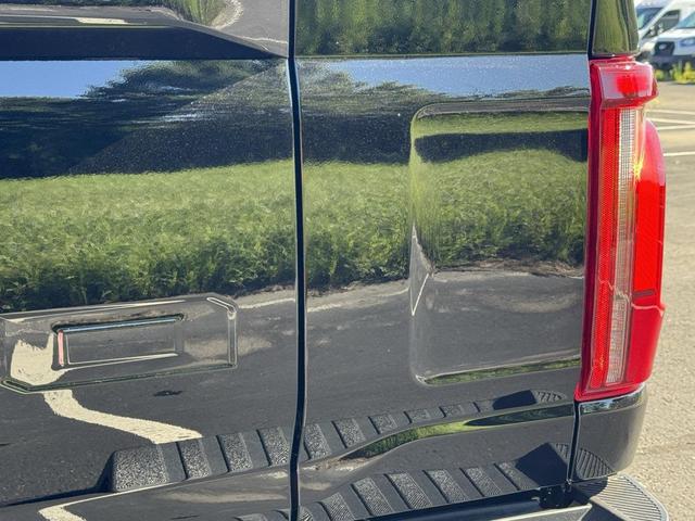 Photo of 2025 AGATE BLACK METALLIC Ford F-150