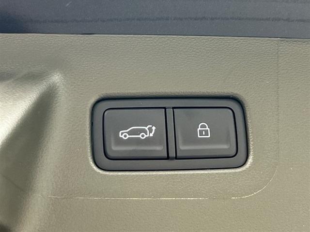 Photo of 2025 Phantom Black Hyundai SANTA FE HEV