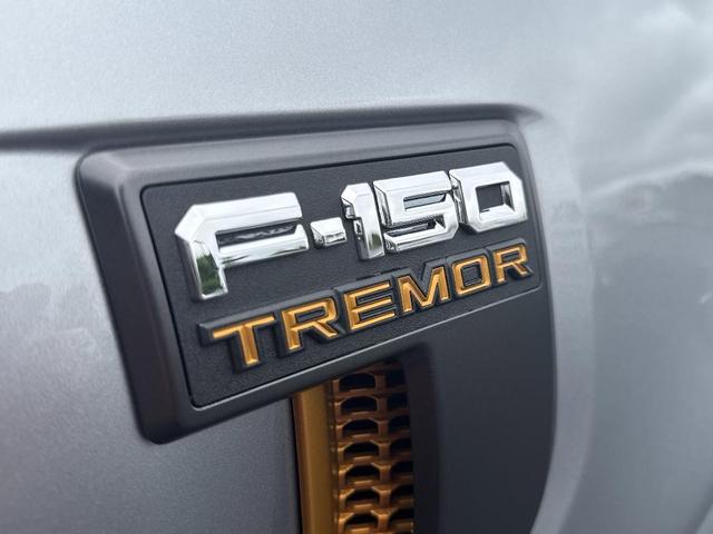 Photo of 2025 Iconic Silver Metallic Ford F-150