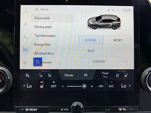 Photo of 2024 Iridium Lexus RX 350