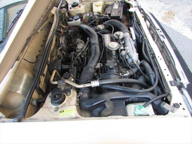Photo of 1983 Beige Nissan Sentra