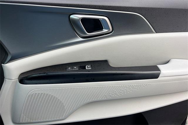 Photo of 2023 Panthera Metal Kia Carnival