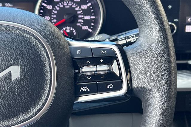 Photo of 2023 Panthera Metal Kia Carnival