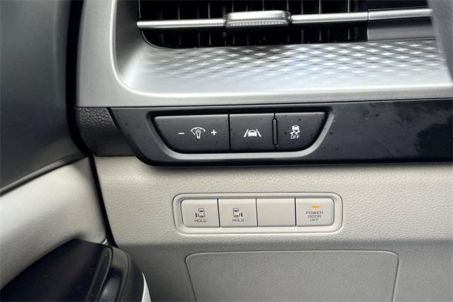 Photo of 2023 Panthera Metal Kia Carnival