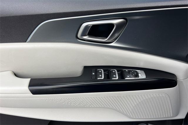 Photo of 2023 Panthera Metal Kia Carnival