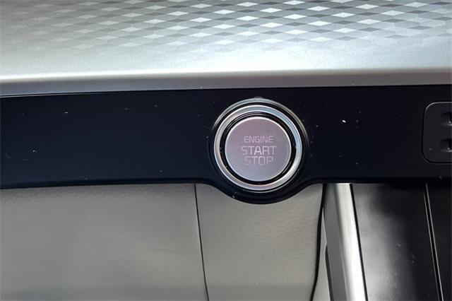 Photo of 2023 Panthera Metal Kia Carnival