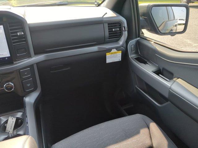 Photo of 2025 Agate Black Ford F-150