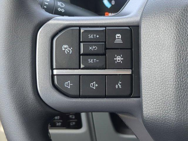 Photo of 2025 Carbonized Gray Ford F-150