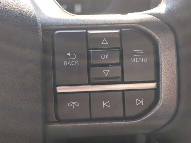 Photo of 2025 Agate Black Ford F-150