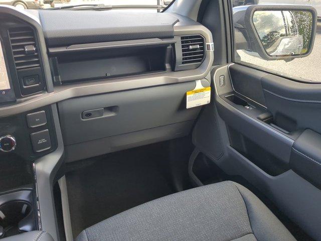 Photo of 2025 Space Gray Ford F-150