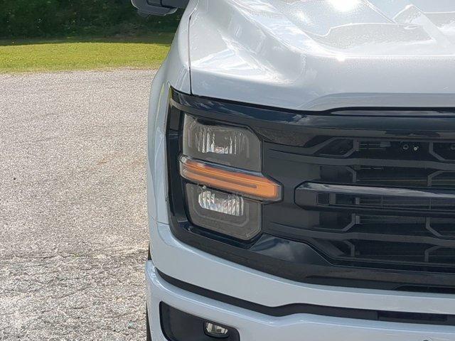 Photo of 2025 Space Gray Ford F-150