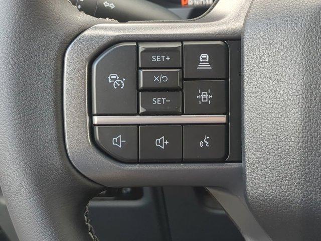 Photo of 2025 Space Gray Ford F-150