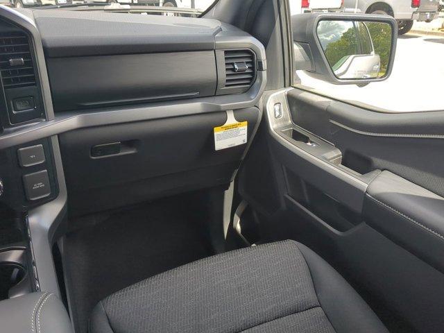Photo of 2025 Space Gray Ford F-150