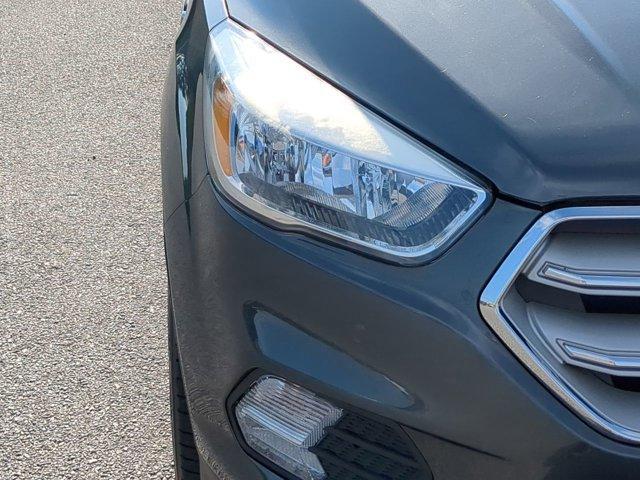 Photo of 2019 Magnetic Ford Escape