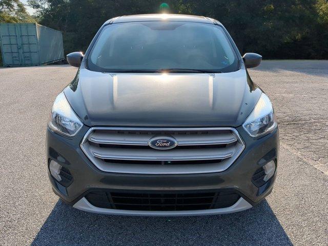 Photo of 2019 Magnetic Ford Escape
