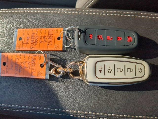 Photo of 2019 Magnetic Ford Escape