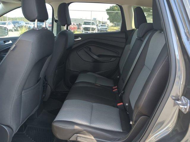 Photo of 2019 Magnetic Ford Escape