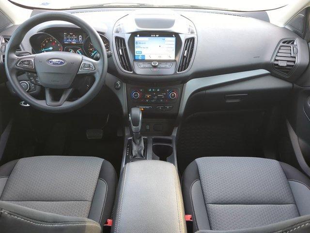 Photo of 2019 Magnetic Ford Escape