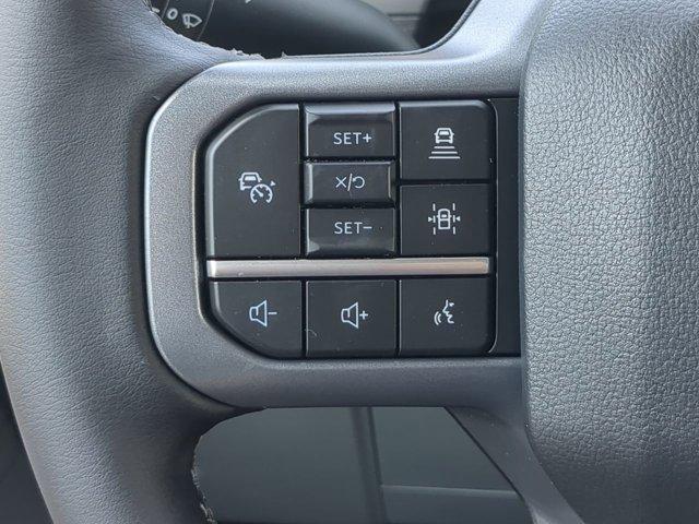 Photo of 2025 Space Gray Ford F-150