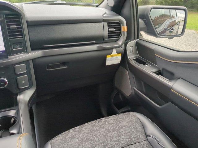Photo of 2025 Blue Ford F-150