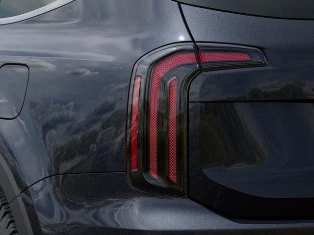 Photo of 2025 Panthera Metal Kia Telluride