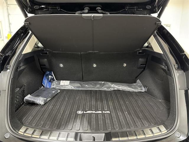 Photo of 2022 Black Lexus NX 250