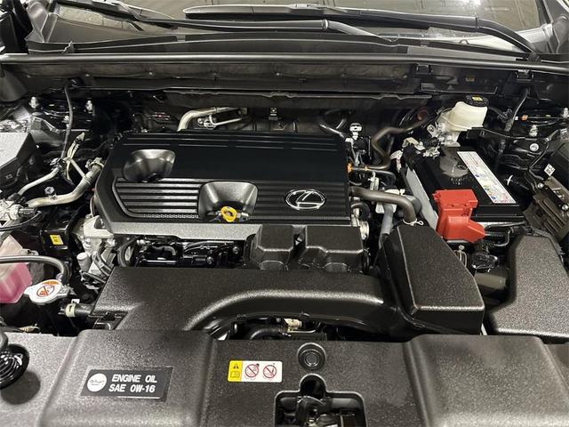 Photo of 2022 Black Lexus NX 250