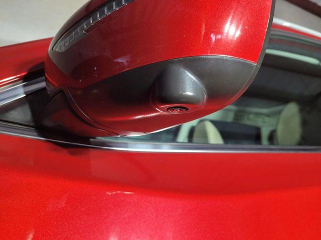 Photo of 2016 Cayenne Red Nissan Rogue