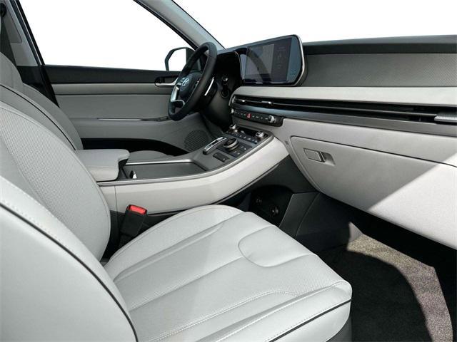 Photo of 2025 Typhoon Silver Hyundai PALISADE