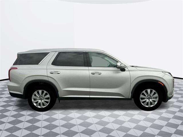 Photo of 2025 Typhoon Silver Hyundai PALISADE