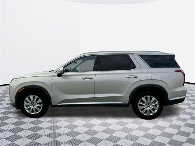Photo of 2025 Typhoon Silver Hyundai PALISADE