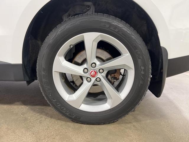 Photo of 2019 Fuji White Jaguar F-PACE