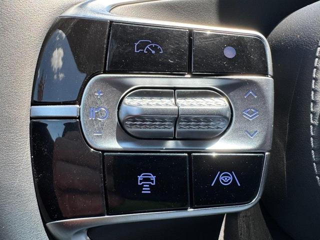 Photo of 2024 Verbier White Genesis G90