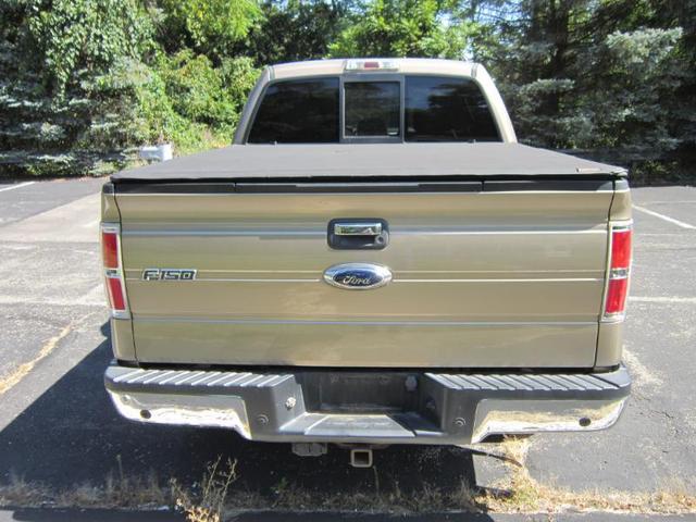 Photo of 2013 Pale Adobe Metallic Ford F-150