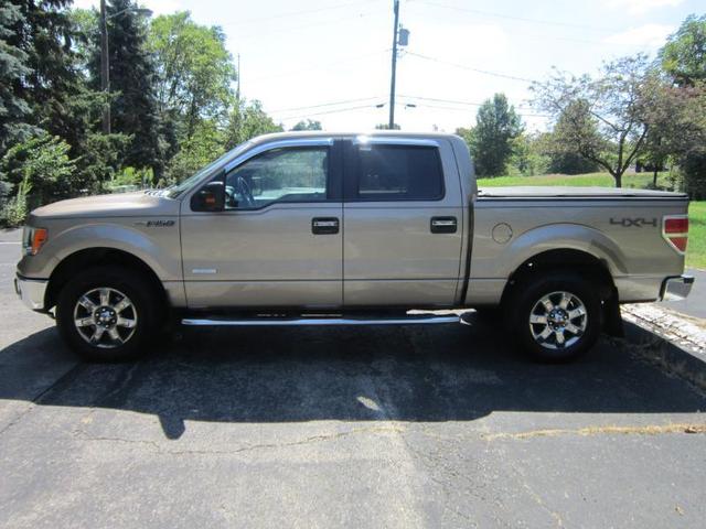 Photo of 2013 Pale Adobe Metallic Ford F-150