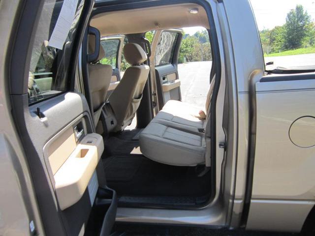 Photo of 2013 Pale Adobe Metallic Ford F-150