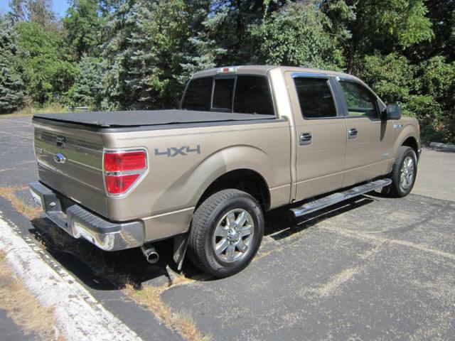 Photo of 2013 Pale Adobe Metallic Ford F-150