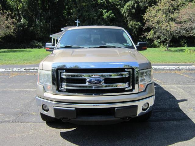Photo of 2013 Pale Adobe Metallic Ford F-150
