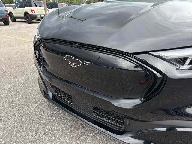 Photo of 2025 Shadow Black Ford Mustang Mach-E