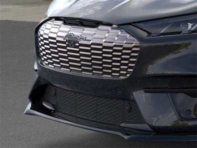 Photo of 2025 Shadow Black Ford Mustang Mach-E