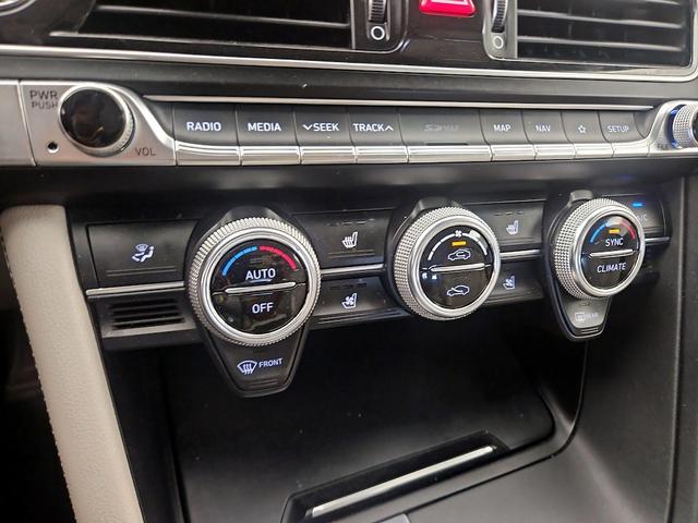 Photo of 2019 Blue Genesis G70
