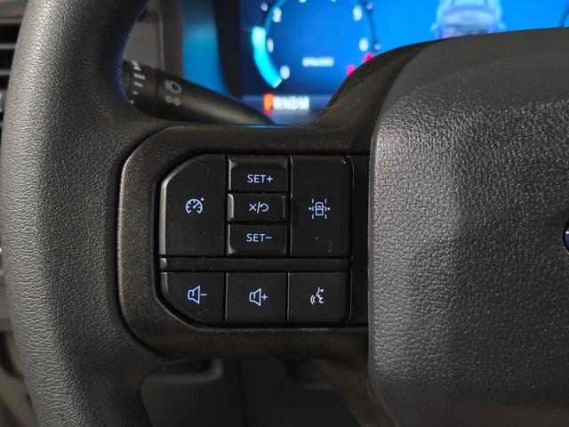 Photo of 2025 Agate Black Metallic Ford F-150