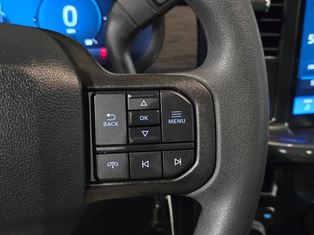 Photo of 2025 Agate Black Metallic Ford F-150