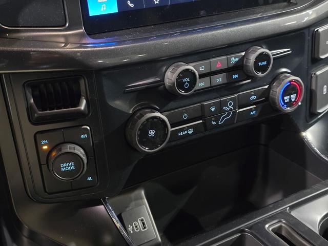 Photo of 2025 Agate Black Metallic Ford F-150